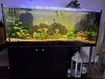 Akvárium 450 l.