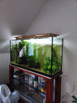 Akvárium 225L 115x36x60cm