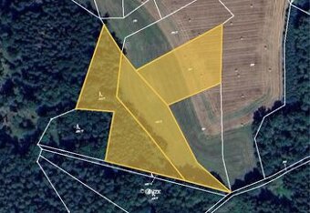 Prodej podílu 3/8 lesa 7 381 m², Hrazany