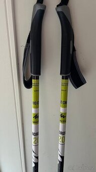 Hůlky na běžky (110 cm)