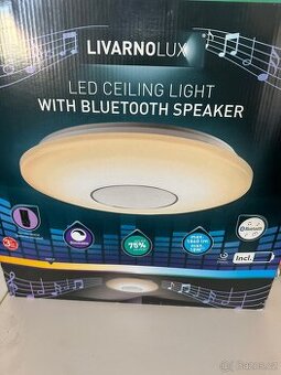 Stropní světlo s reporduktorem