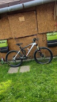Celopéro Stevens Glide Max