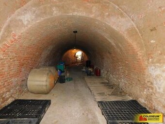 Miroslav, sklep 89 m2 - vinný sklep, ev.č. I4288Z007 - 1