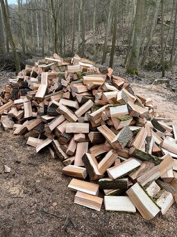 Prodej palivového dřeva