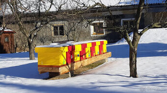 vyzimované včelstva, včely, včelí oddělky