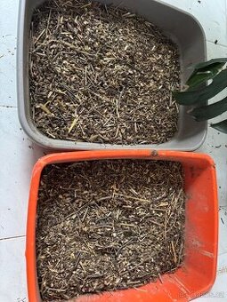 Bio kočkolit přírodní kočičí záchod podestýlka