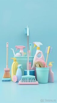 Profesionální úklidové služby