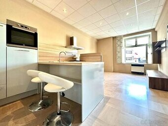 Pronájem 1+1 70m2 - 1