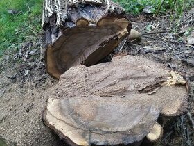 Ořechové dřevo
