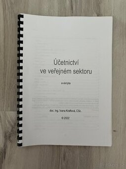 Účetnictví ve veřejném sektoru