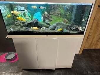Juwel akvárium 180l