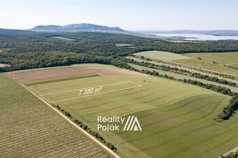Prodej orná půda, 7380 m2 - Bulhary, ev.č. 25PP103