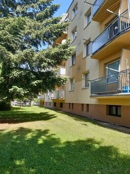 Světlý byt 2+1 s balkonem po rekonstrukci (58m2)