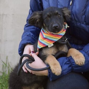 Jefferson hledá domov