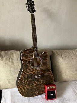 Nová elektroakustická kytara