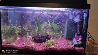 80L.Akvárium s výbavou