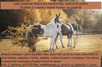 Lesní jezdecké tábory