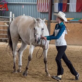 Appaloosa - 1