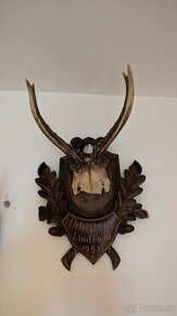 Lovecké trofeje - 1