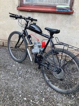 Motokolo phantom