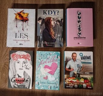 Mix knih – Young adult, napětí, romány + kuchařka