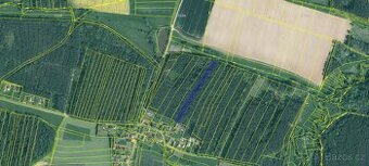 Prodej lesa Dražíč