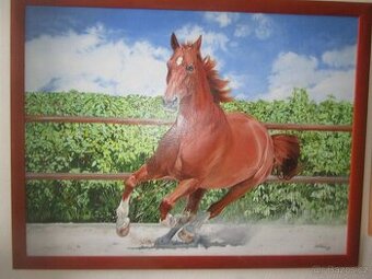 kůn  ve cvalu-olejomalba