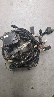 Kawasaki Zx 12R 2005 elektro svazek