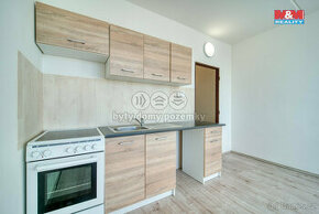 Prodej bytu 1+1, 39 m², obec Rovná u Sokolova - 1