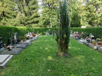 Přenechám hrobové místo – urnový háj, Žamberk