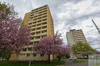 Prodej investičního bytu 1+kk v centru Litvínova