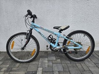 Author cosmic 20"