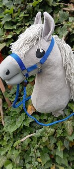 Hobby horse