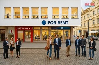 Pronájem obchod a služby, 365 m², Plzeň, ul. Solní - 1