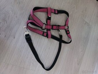 Postroj na velkého psa s úvazem do auta - 1
