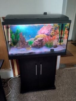 akvárium vč skřínky filtru eheim a vzduchování