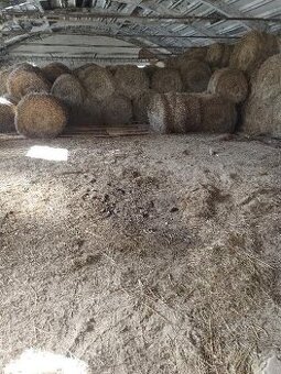 prodej sena kulaté balíky