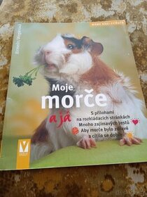 Moje morče a já