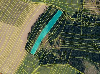 Lesní pozemek 5Kč/m2 k.ú. Velký Ježov 6.930m2
