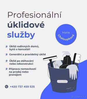 Profesionální úklidové služby
