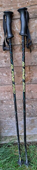 Hůlky 110 cm Alpine Pro