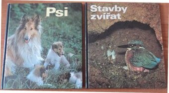 Psi, Stavby zvířat