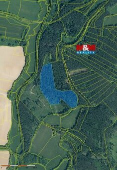 Prodej lesa, 33931 m², Chmelná u Sušice