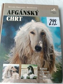 Afghánský chrt pudl westik bišon frise retrivr