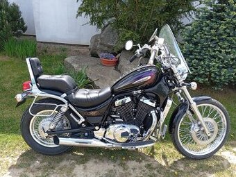 Suzuki VS 800 Intruder