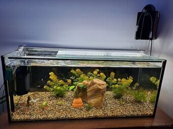 Vybavené akvarium 120l