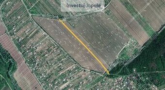 Prodej vinice v k.ú. Strážnice na Moravě - 1