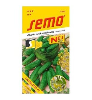 Sazenice sazeničky nakládačky, liso calcuta, ačokča