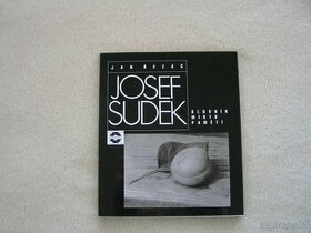 Slovník místo paměti