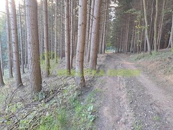 Lesní pozemky k.ú. Velíková, okr. Zlín, CP 152 613 m2